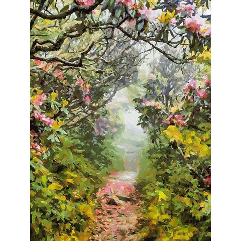 Path under Magnolia Trees Black Modern Wood Framed Art Print with Double Matting by Medeiros, Celito