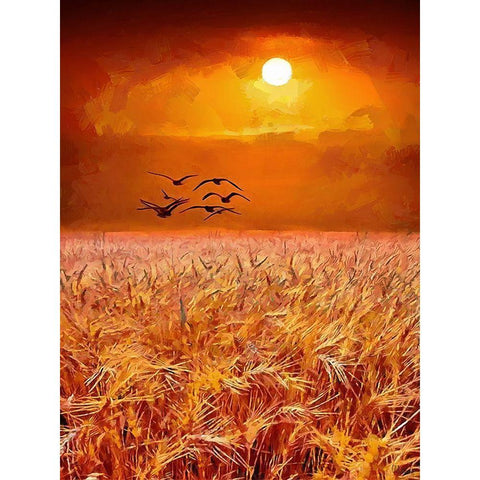 Birds over the field by Sunset White Modern Wood Framed Art Print by Medeiros, Celito