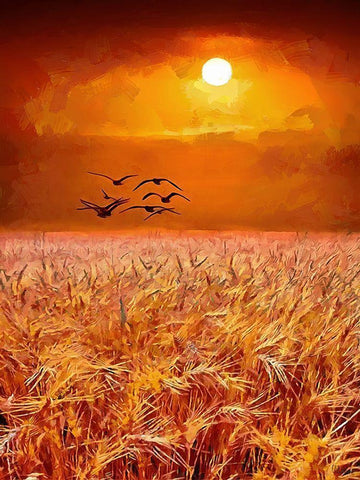 Birds over the field by Sunset Black Ornate Wood Framed Art Print with Double Matting by Medeiros, Celito