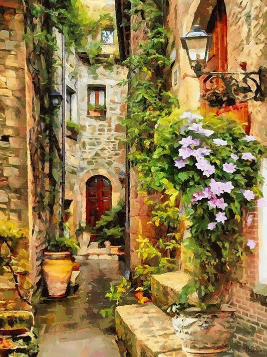 Image Only