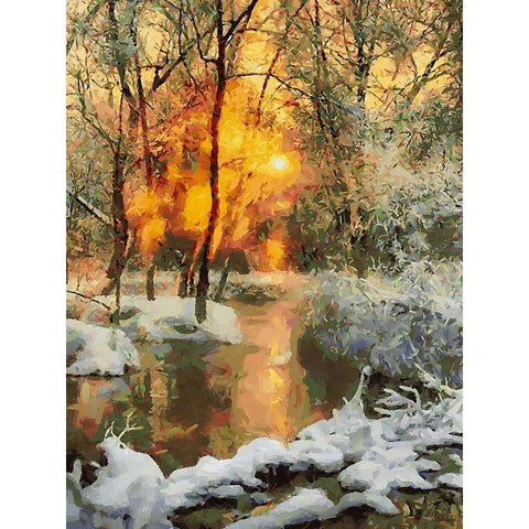 Snow Pond in Winter II Gold Ornate Wood Framed Art Print with Double Matting by Medeiros, Celito