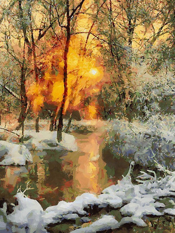 Snow Pond in Winter II White Modern Wood Framed Art Print with Double Matting by Medeiros, Celito