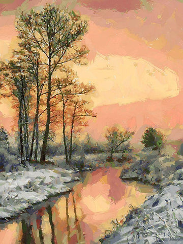 Snow Pond in Winter III White Modern Wood Framed Art Print with Double Matting by Medeiros, Celito