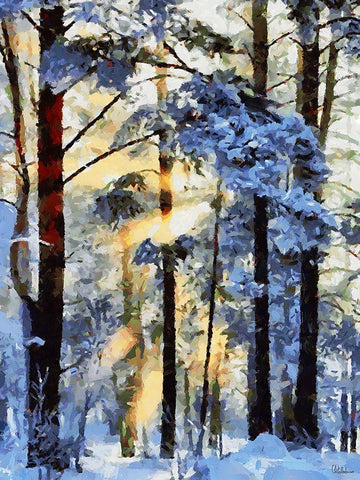 Sunshine in the Winter Wood White Modern Wood Framed Art Print with Double Matting by Medeiros, Celito