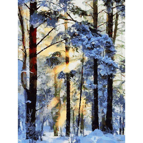 Sunshine in the Winter Wood Black Modern Wood Framed Art Print by Medeiros, Celito