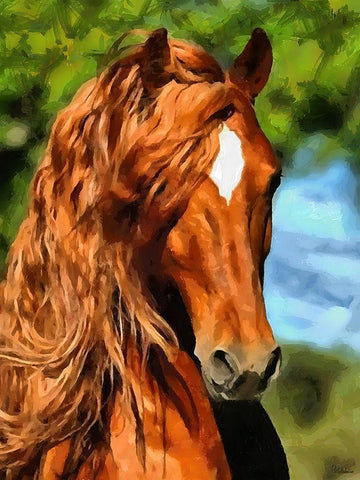 Brown Horse White Modern Wood Framed Art Print with Double Matting by Medeiros, Celito