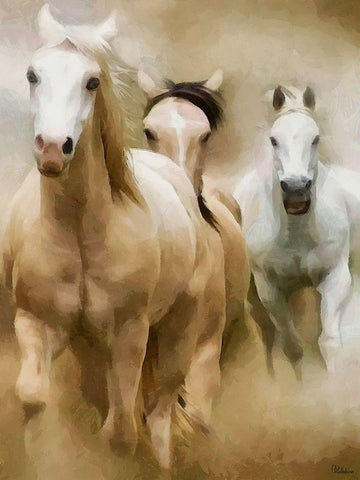 White Running Horses White Modern Wood Framed Art Print with Double Matting by Medeiros, Celito