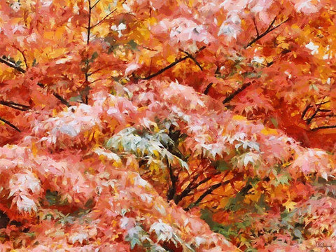 Autumn Leaves White Modern Wood Framed Art Print with Double Matting by Medeiros, Celito