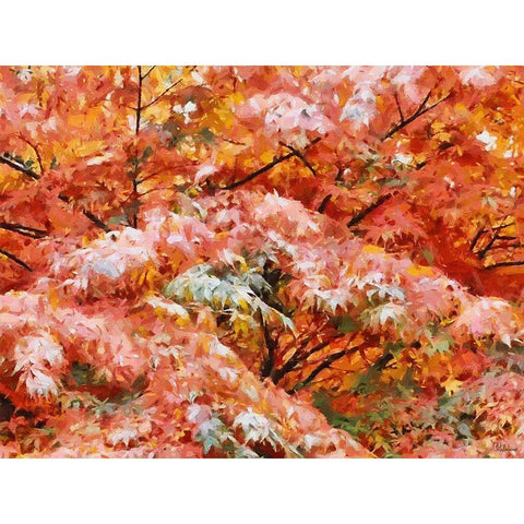 Autumn Leaves Black Modern Wood Framed Art Print with Double Matting by Medeiros, Celito