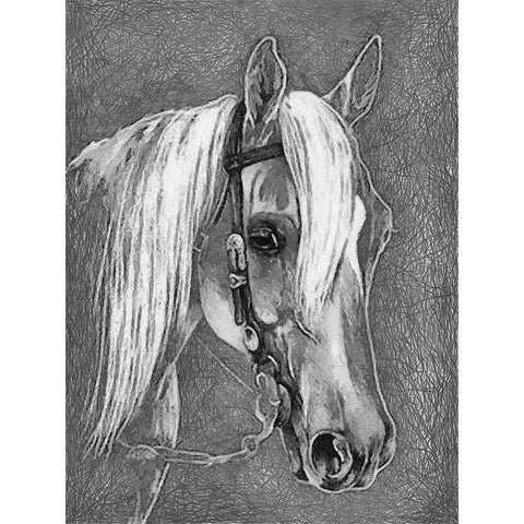 Horse Face BW I White Modern Wood Framed Art Print by Medeiros, Celito