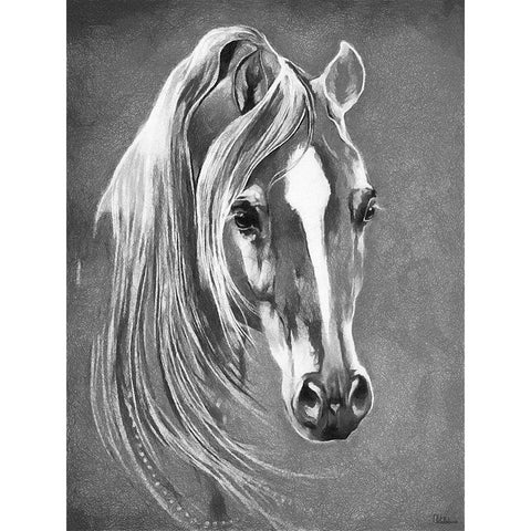 Horse Face BW II Black Modern Wood Framed Art Print with Double Matting by Medeiros, Celito