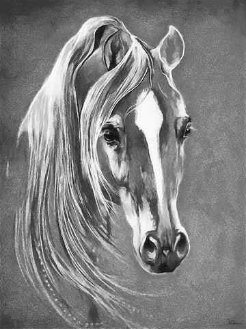 Horse Face BW II White Modern Wood Framed Art Print with Double Matting by Medeiros, Celito