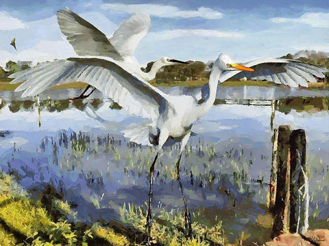 Storks on the Lake I White Modern Wood Framed Art Print with Double Matting by Medeiros, Celito