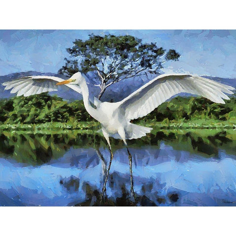 Storks on the Lake II Black Modern Wood Framed Art Print by Medeiros, Celito