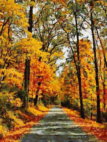 Autumn Way III Black Ornate Wood Framed Art Print with Double Matting by Medeiros, Celito