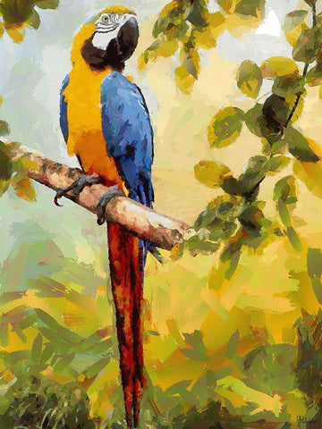 One Big Parrot White Modern Wood Framed Art Print with Double Matting by Medeiros, Celito