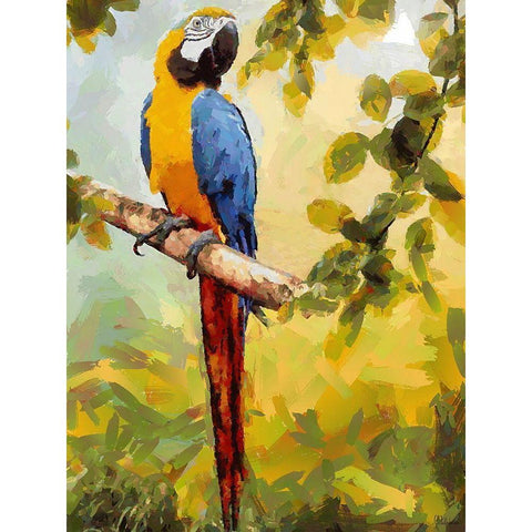 One Big Parrot White Modern Wood Framed Art Print by Medeiros, Celito