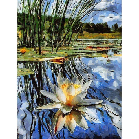 Watterlilly Black Modern Wood Framed Art Print with Double Matting by Medeiros, Celito