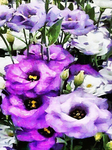 Purple Flowers White Modern Wood Framed Art Print with Double Matting by Medeiros, Celito