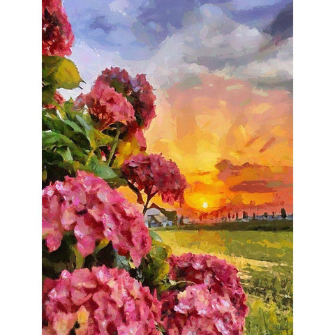 Sunset with Pink Flowers I Black Modern Wood Framed Art Print with Double Matting by Medeiros, Celito
