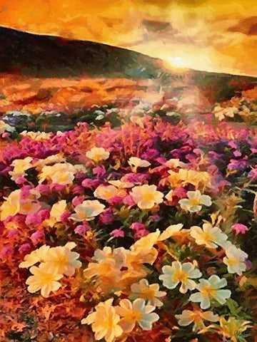 Sunset with Pink Flowers II Black Ornate Wood Framed Art Print with Double Matting by Medeiros, Celito