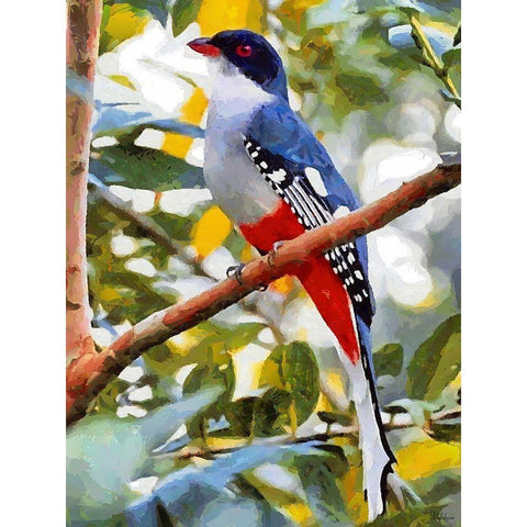 Red and Blue Colored Bird Gold Ornate Wood Framed Art Print with Double Matting by Medeiros, Celito