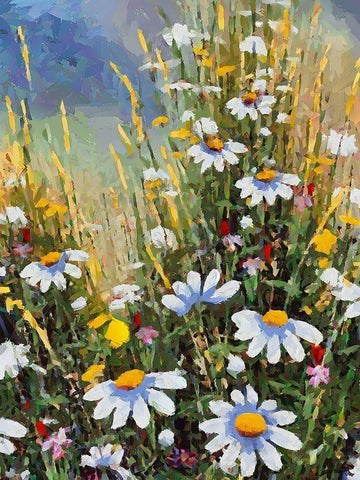 Meadow with Daisies II White Modern Wood Framed Art Print with Double Matting by Medeiros, Celito