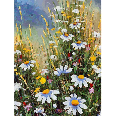 Meadow with Daisies II White Modern Wood Framed Art Print by Medeiros, Celito