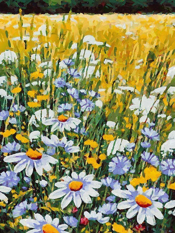 Meadow with Daisies III White Modern Wood Framed Art Print with Double Matting by Medeiros, Celito