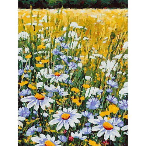 Meadow with Daisies III White Modern Wood Framed Art Print by Medeiros, Celito