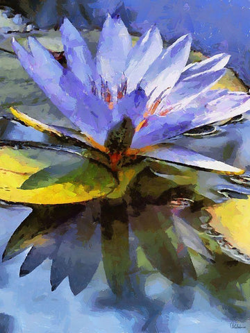 Purple Watterlilly White Modern Wood Framed Art Print with Double Matting by Medeiros, Celito