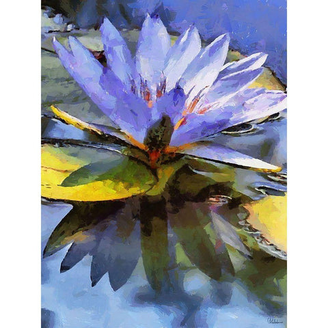 Purple Watterlilly Gold Ornate Wood Framed Art Print with Double Matting by Medeiros, Celito