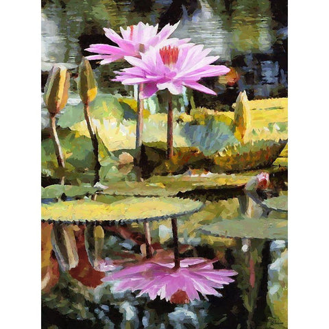 Pink Watterlilly Gold Ornate Wood Framed Art Print with Double Matting by Medeiros, Celito