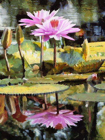 Pink Watterlilly White Modern Wood Framed Art Print with Double Matting by Medeiros, Celito