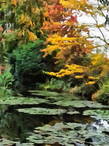 Nature in Brazil I White Modern Wood Framed Art Print with Double Matting by Medeiros, Celito