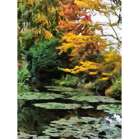 Nature in Brazil I Black Modern Wood Framed Art Print by Medeiros, Celito