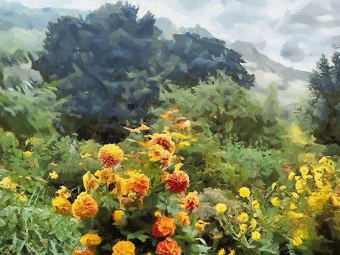 Nature in Brazil II White Modern Wood Framed Art Print with Double Matting by Medeiros, Celito