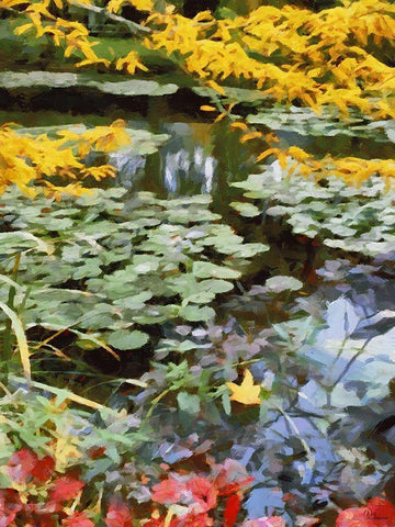 Nature in Brazil I White Modern Wood Framed Art Print with Double Matting by Medeiros, Celito