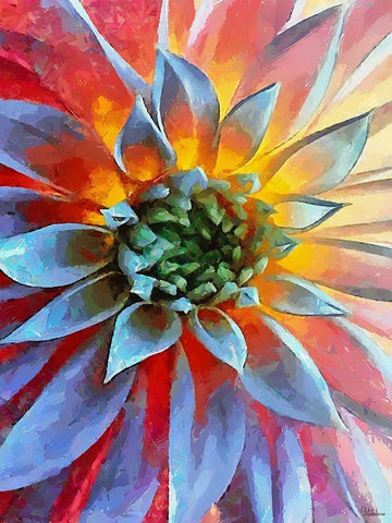 Flower in Red II Black Ornate Wood Framed Art Print with Double Matting by Medeiros, Celito