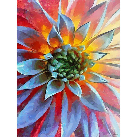 Flower in Red II Black Modern Wood Framed Art Print by Medeiros, Celito