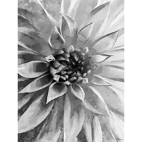Leaves BW12 Black Modern Wood Framed Art Print with Double Matting by Medeiros, Celito