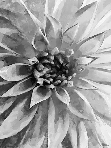 Leaves BW12 White Modern Wood Framed Art Print with Double Matting by Medeiros, Celito