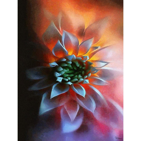 Flower in Red III White Modern Wood Framed Art Print by Medeiros, Celito