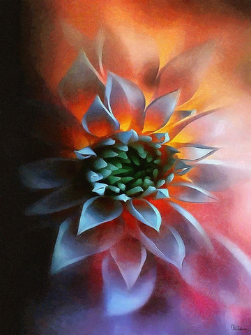 Flower in Red III Black Ornate Wood Framed Art Print with Double Matting by Medeiros, Celito