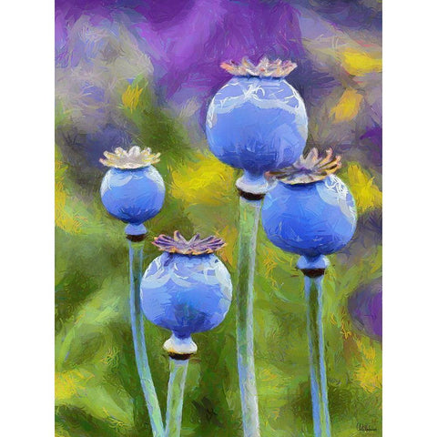 Ripe Poppies Black Modern Wood Framed Art Print with Double Matting by Medeiros, Celito