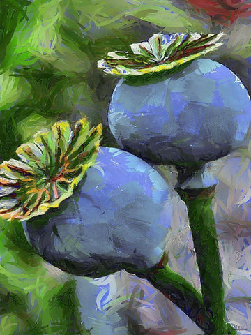 Ripe Poppies II Black Ornate Wood Framed Art Print with Double Matting by Medeiros, Celito