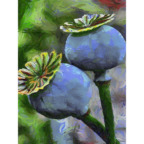 Ripe Poppies II Black Modern Wood Framed Art Print by Medeiros, Celito