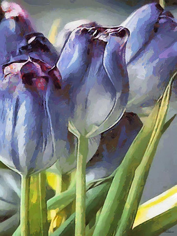 Blue Tulips Black Ornate Wood Framed Art Print with Double Matting by Medeiros, Celito