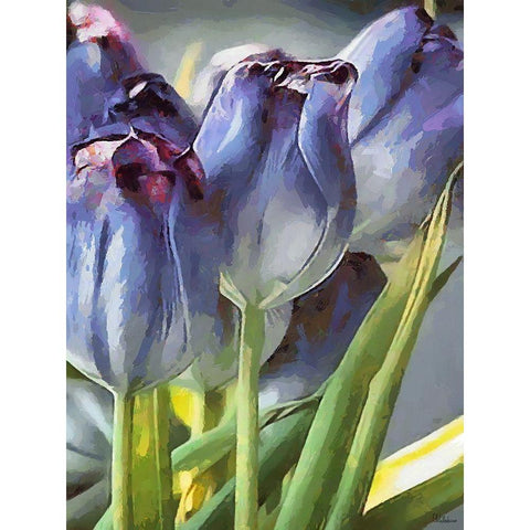 Blue Tulips Black Modern Wood Framed Art Print by Medeiros, Celito