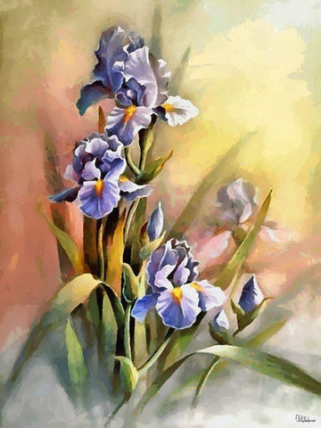 Blue Iris Black Ornate Wood Framed Art Print with Double Matting by Medeiros, Celito